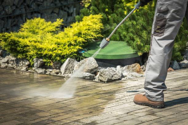 Best Gutter Cleaning  in New Market, VA